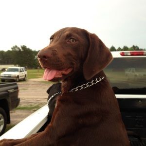 Meet your Posher, Kendall